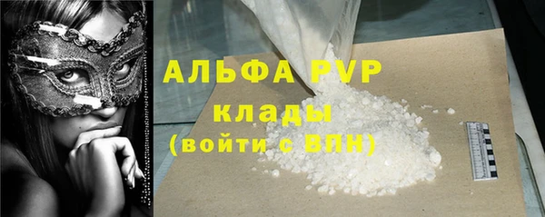 сатива Бронницы