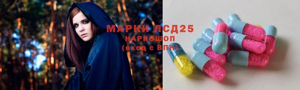 сатива Бронницы