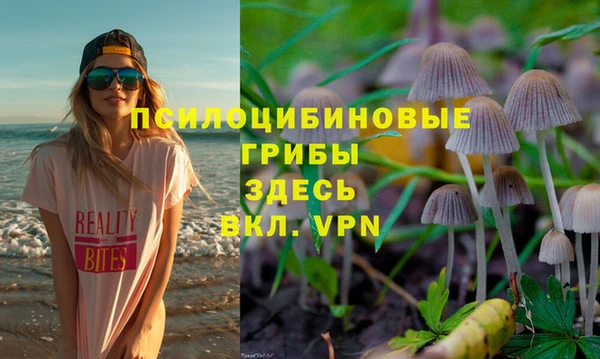 прущие грибы Верхнеуральск
