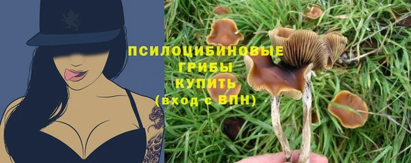 сатива Бронницы