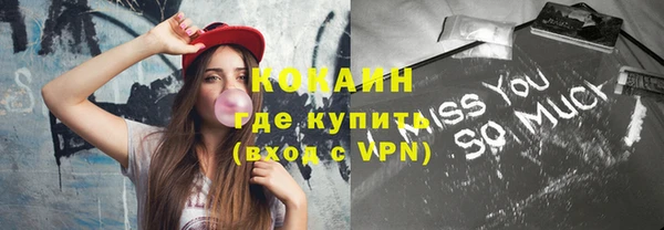 крисы Верхний Тагил
